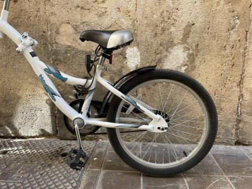 Los fotos de tandem juvenil (5-12 años)