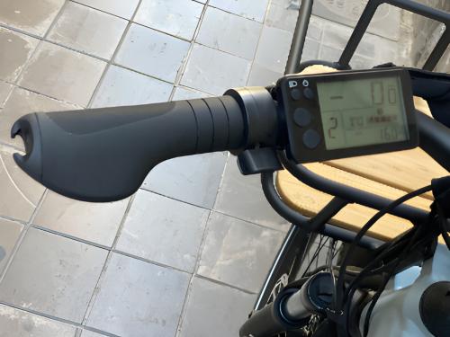 The photos of family cargo e-bike