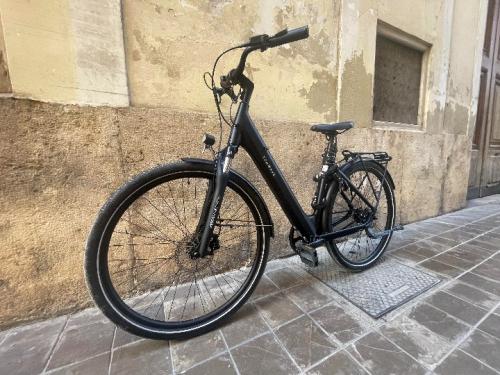 The photos of classic electric bicycle 28''