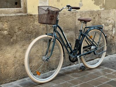 City-, Mountain-, Kinderbikes und Tandems-Verleih in Ihrer Nähe