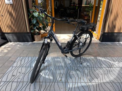 Les photos de vélo électrique biwbik d'occasion
