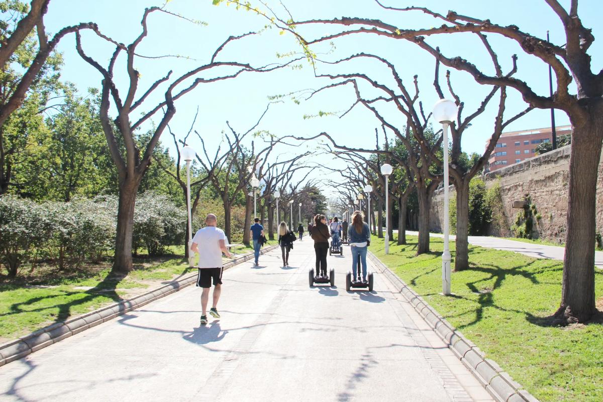 Sport activities in Valencia 