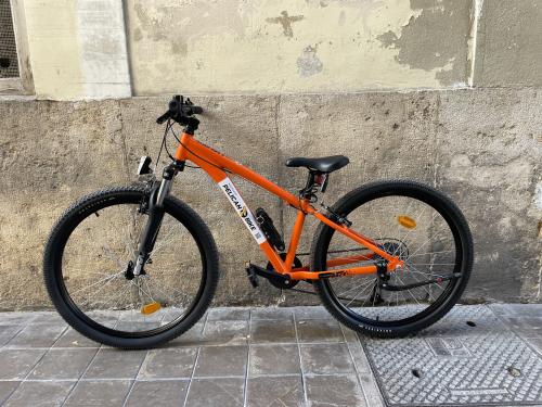 The photos of long term kids bike (8+ years)