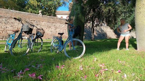 The photos of valencia's triple park bike tour