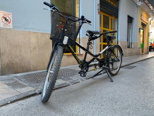 The photos of second-hand tandem bike 