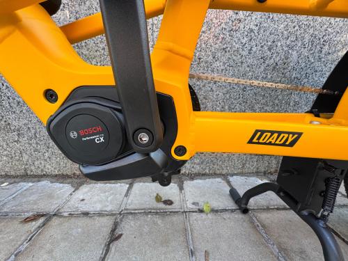 The photos of family cargo premium longtail e-bike