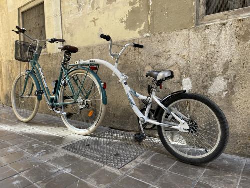 Los fotos de tandem juvenil (5-12 años)