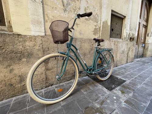 The photos of city bike