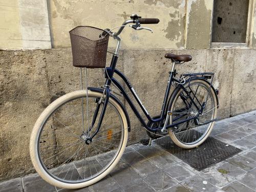 The photos of city bike