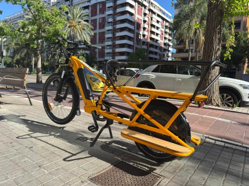 Les photos de vélo électrique family cargo longtail