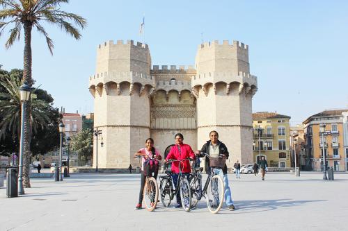 Tours privés à vélo à Valence